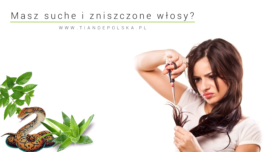 suche-i-zniszczone-wlosy-tiande.png