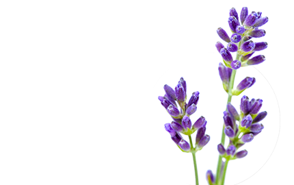 Kosmetyki z Lawendą