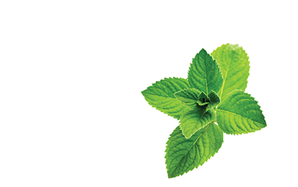 Kosmetyki z Miętą pieprzową