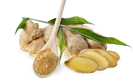 Kosmetyki z ekstraktem z Korzenia Imbiru