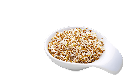 Kosmetyki z olejkiem z Kiełków Pszenicy