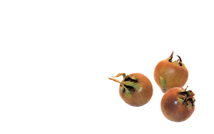 Kosmetyki z ekstraktem z Nieszpułki