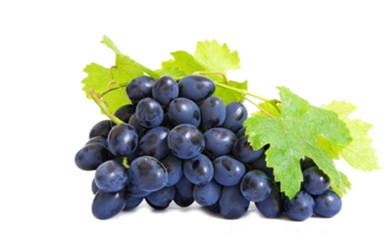 Kosmetyki z ekstraktem Winogron