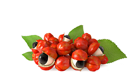 Produkty z wyciągiem z Nasion Guarany