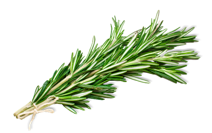 Kosmetyki z wyciągiem z Rozmarynu