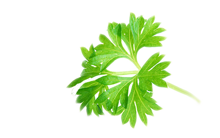 Kosmetyki z ekstraktem z Bylicy