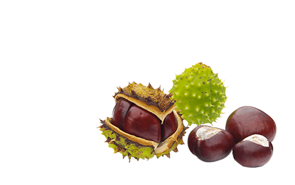 Kosmetyki z ekstraktem Kasztanowca