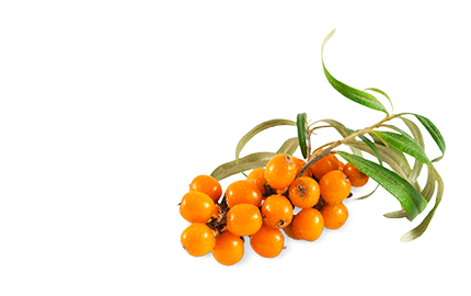 Kosmetyki z ekstraktem Rokitnika