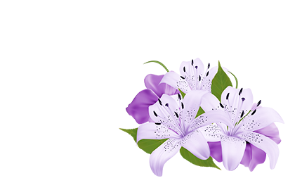 Kosmetyki z ekstraktem z Lucerny