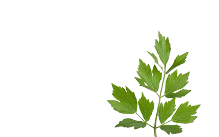 Kosmetyki z Lubczykiem