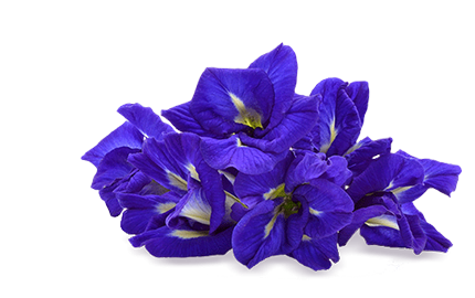 Kosmetyki z ekstraktem z Czarnuszki Siewnej