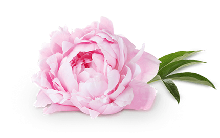 Kosmetyki z ekstraktem z Piwonii Chińskiej