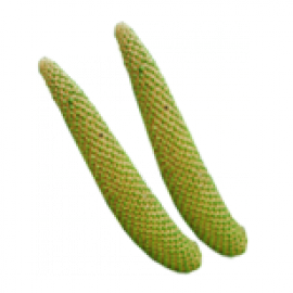 Produkty z Tatarakiem zwyczajnym