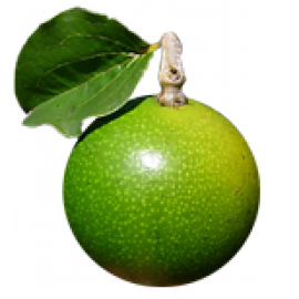 Produkty z Kulczybą